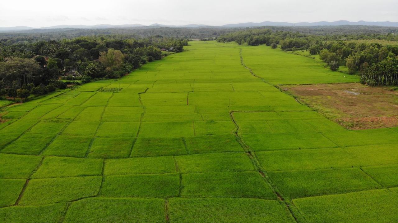 IBBANI Homestay, Siddapur Bagian luar foto