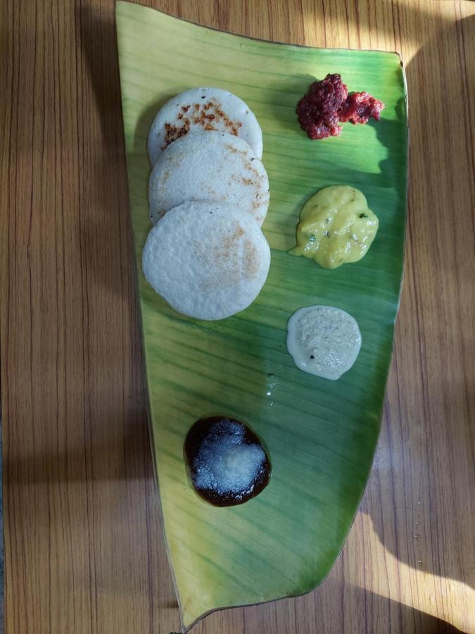 IBBANI Homestay, Siddapur Bagian luar foto