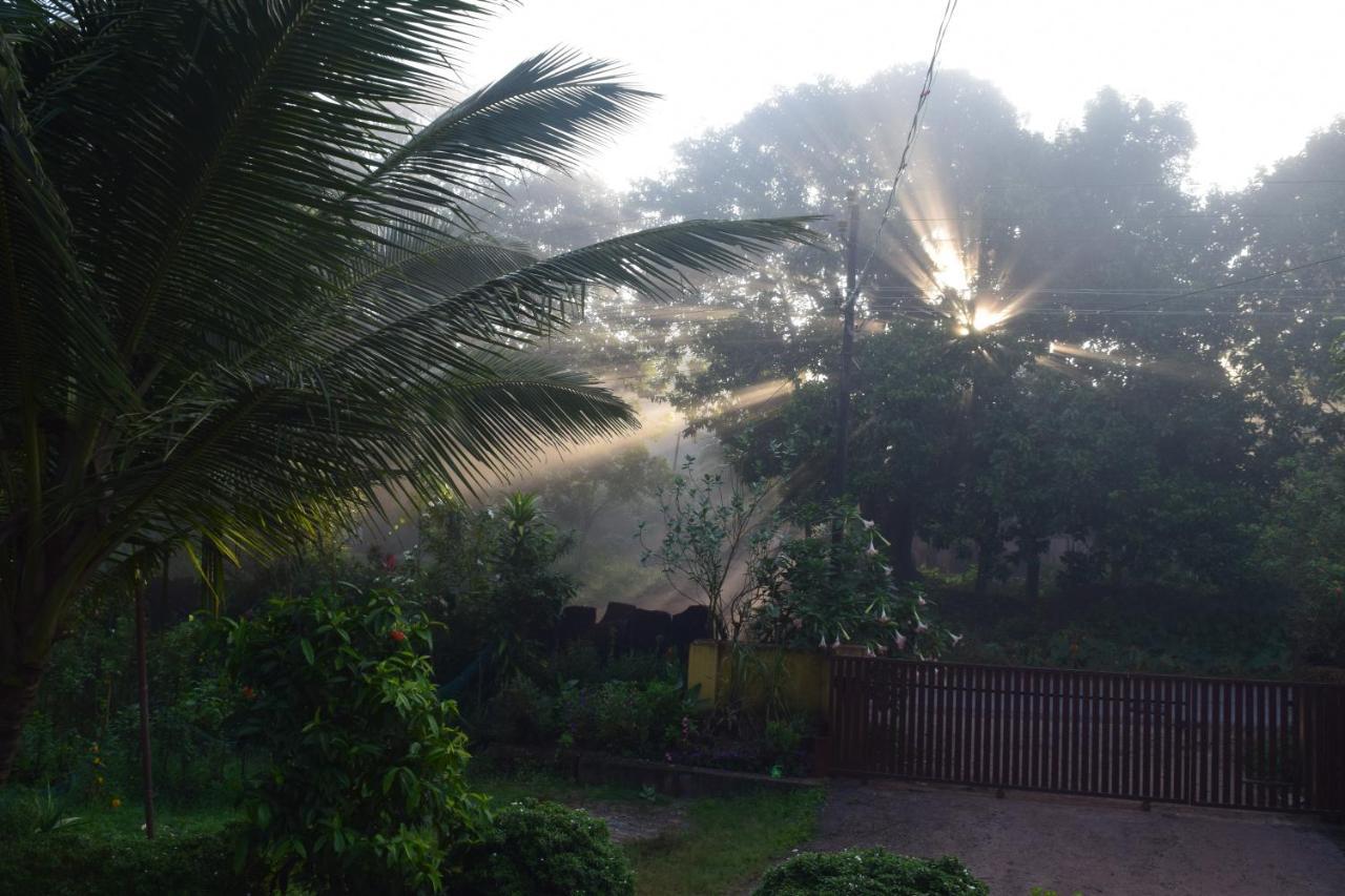 IBBANI Homestay, Siddapur Bagian luar foto
