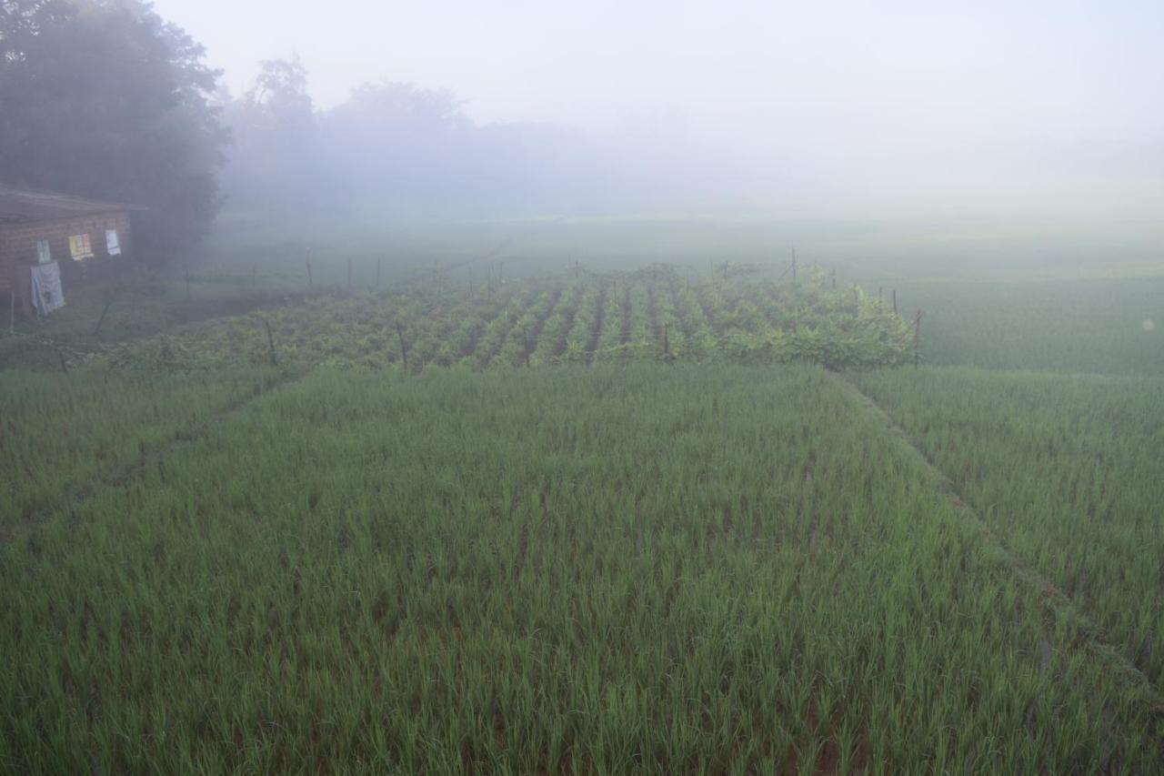 IBBANI Homestay, Siddapur Bagian luar foto
