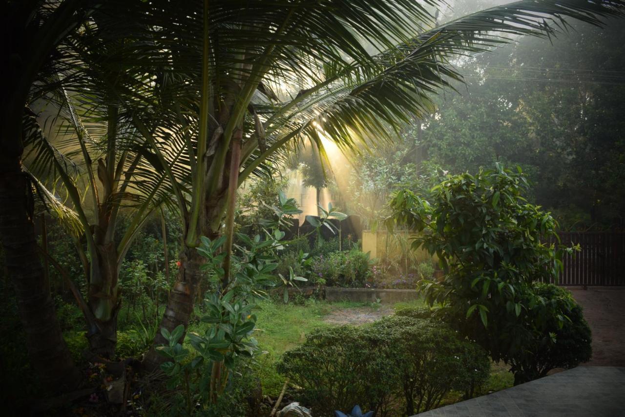 IBBANI Homestay, Siddapur Bagian luar foto