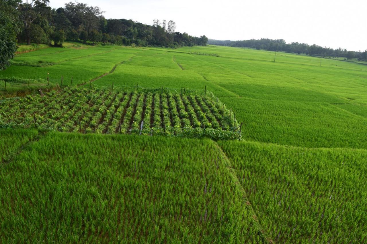 IBBANI Homestay, Siddapur Bagian luar foto