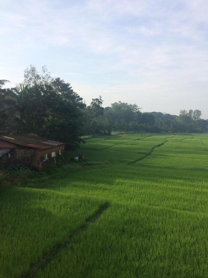 IBBANI Homestay, Siddapur Bagian luar foto