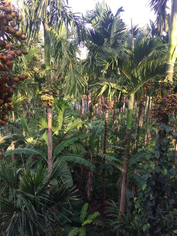 IBBANI Homestay, Siddapur Bagian luar foto
