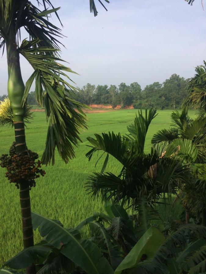 IBBANI Homestay, Siddapur Bagian luar foto